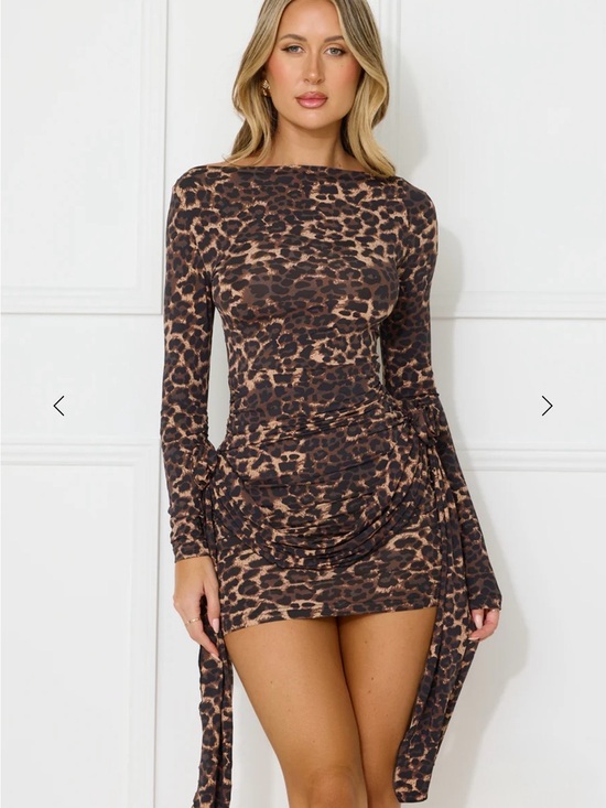 Lioness Dresses & Skirts - NWT Hello Molly Leopard Print Long-Sleeve Mini Dress - Brown